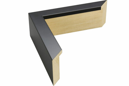 Tribeca 50&quot;