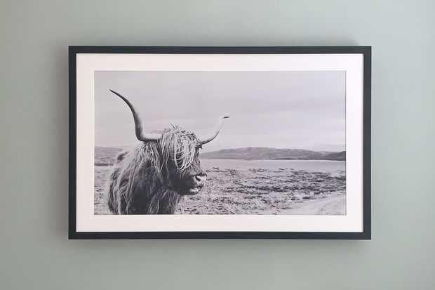 Tribeca 43"