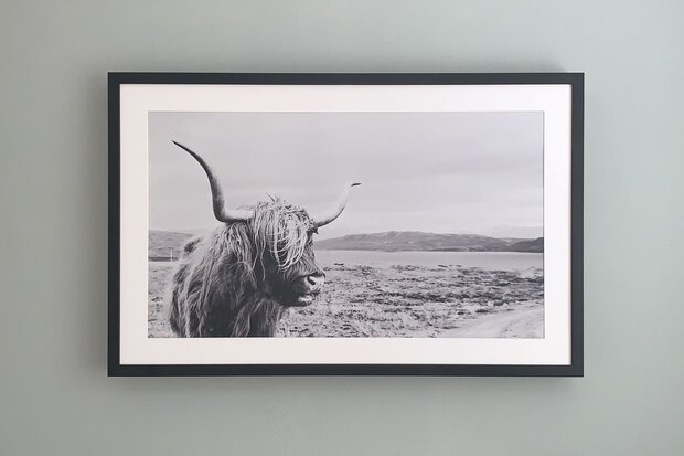 Tribeca 50"
